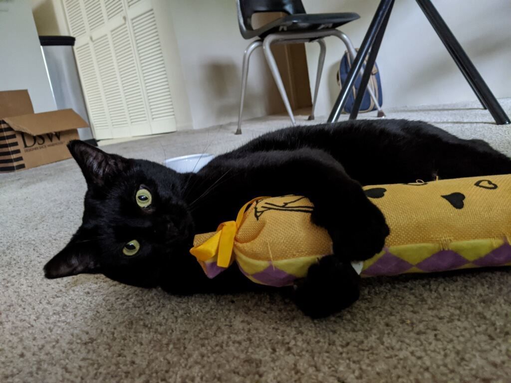 Marceline the kitty queen